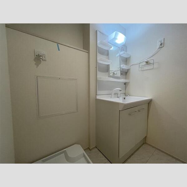 リーブルファイン羽村羽中201号室 洗面