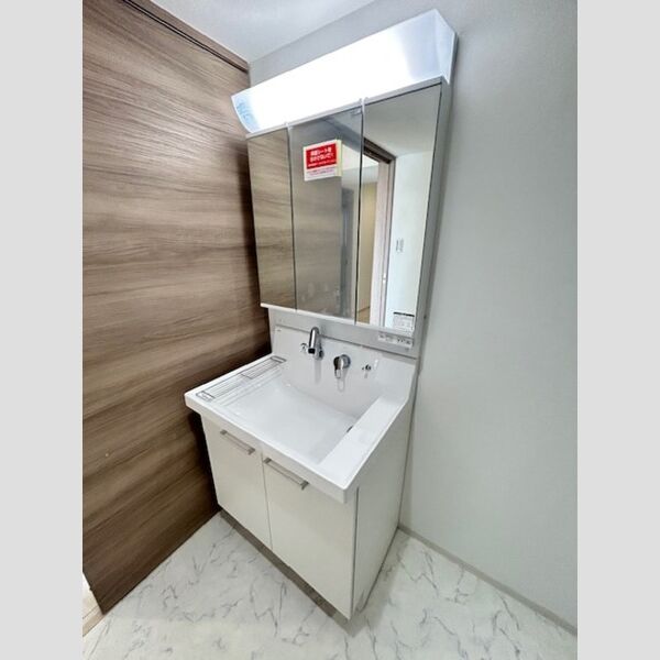 カスタリア西船橋Ⅱ0503号室 洗面所