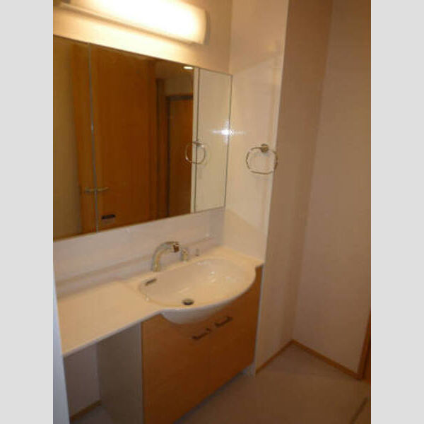 ロイヤルクレスト 洗面室(カウンタータイプ)