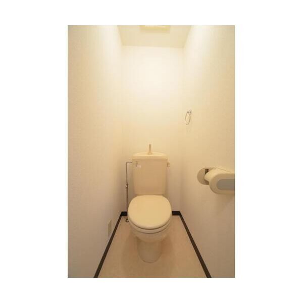 メゾン・カワイ203号室 トイレ