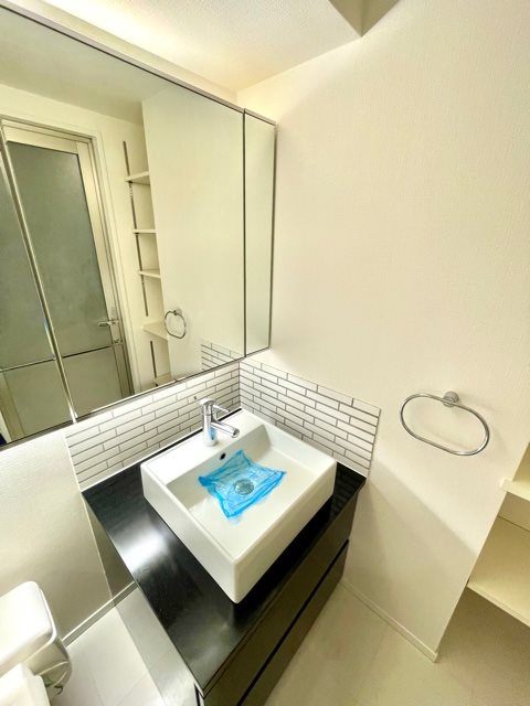 レジディア渋谷10階 洗面