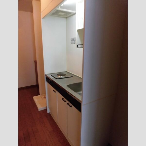 キャッスルハウス101号室 キッチン