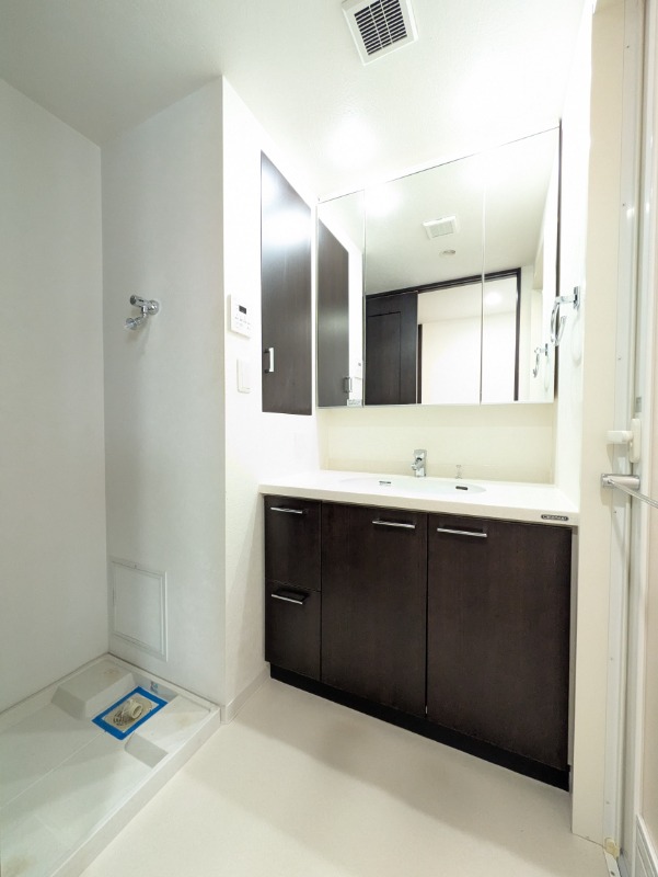 パークフラッツ市谷台町坂 洗面