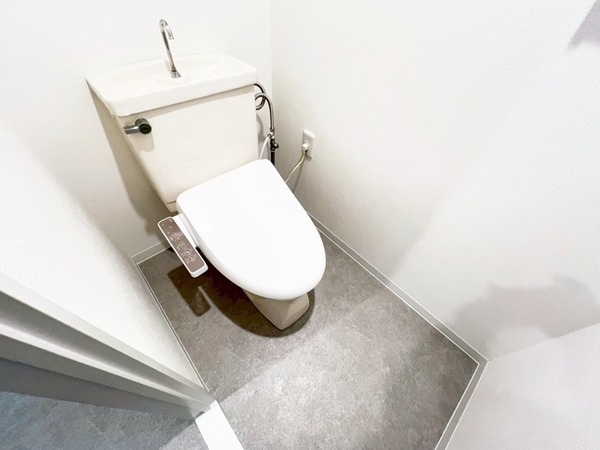 ハイム下鶴間301号室 トイレ