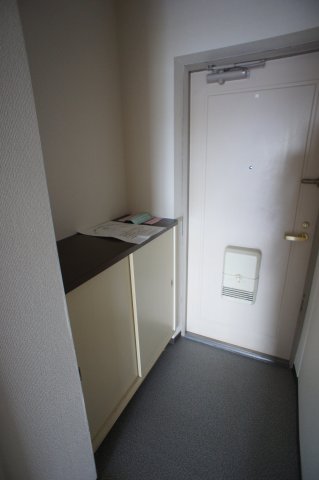 カサグランデ0209号室 収納もある玄関です