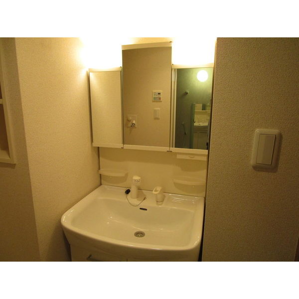 モルチール池袋本町502号室 洗面