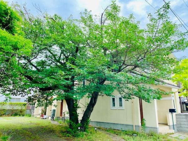 茅ヶ崎東海岸南３丁目テラスハウス 部屋その他