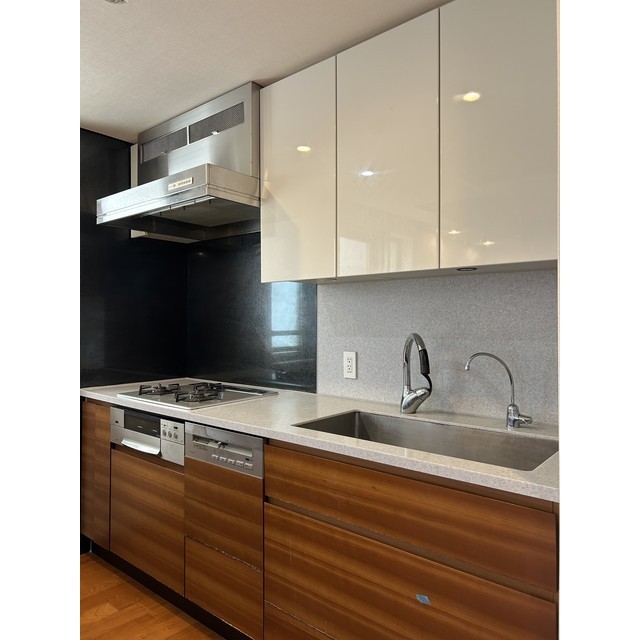 パークハウス平河町 2025年10月撮影