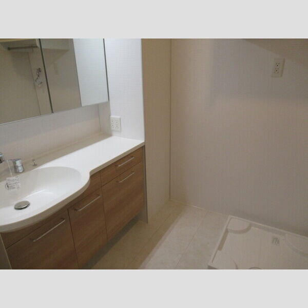 Buena Venir(ブエナ　ヴェニール)201号室 洗髪洗面化粧台