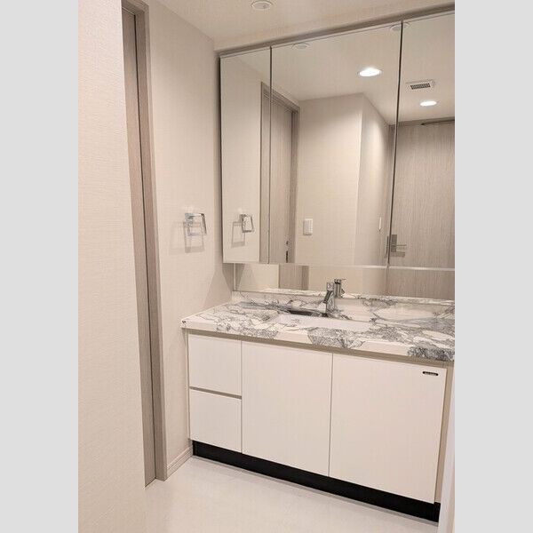 カスタリア高輪0402号室 洗面所