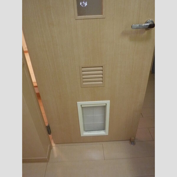 カンパーニュ　C203号室 LDK　ペット用ドア