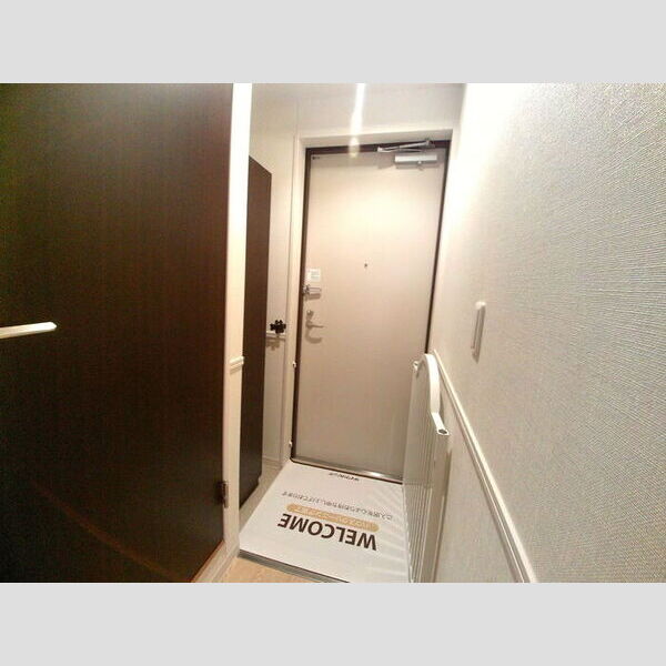 ジ・エレガンス城山101号室 トールタイプのシューズボックス付