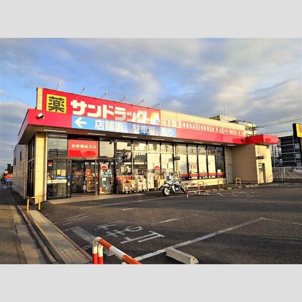セジュール師岡町 サンドラッグ河辺店207m
