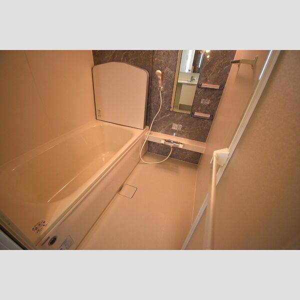 セレスティア上野町B202号室 浴室