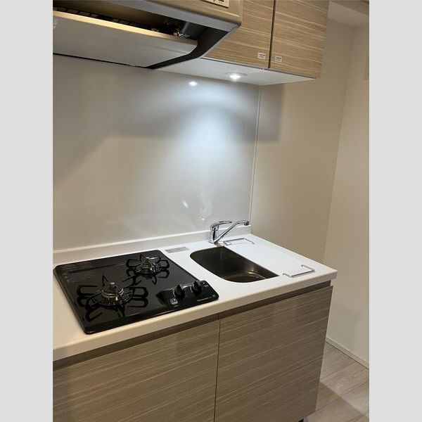 S-RESIDENCE押上Clair501号室 トイレ