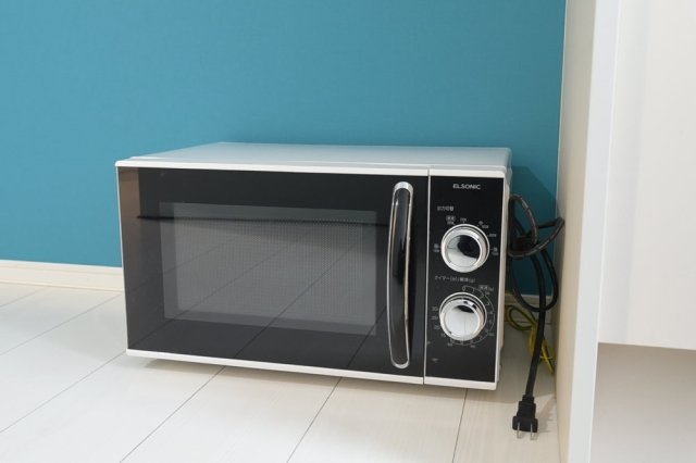 ＬａＬａ柴又 電子レンジ