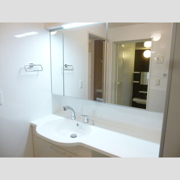 リビングNK原木中山201号室 洗髪洗面化粧台