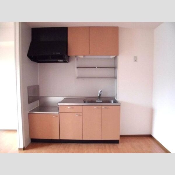 アネシス206号室 キッチン