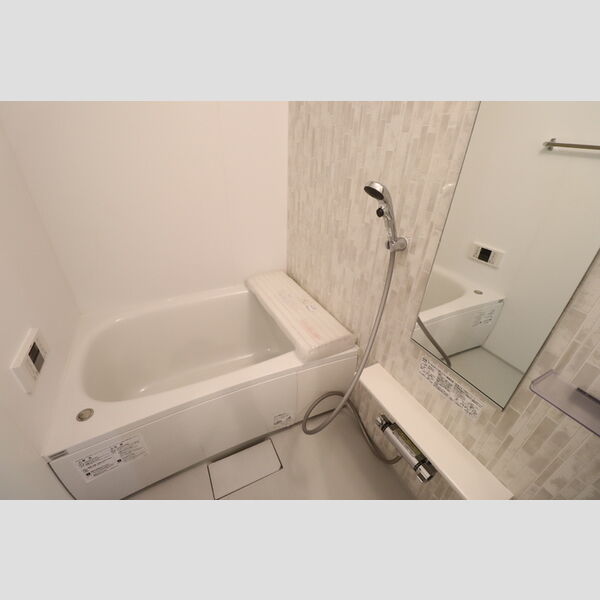 ラリュール上板橋102号室 バスルーム