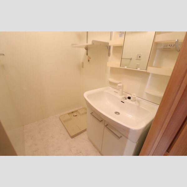 カメリア武蔵藤沢105号室 洗髪洗面化粧台