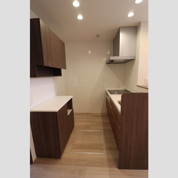 ユートリー　Ⅲ103号室 システムキッチン