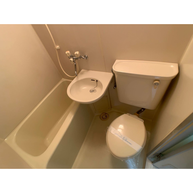 アマリリス211号室 内観