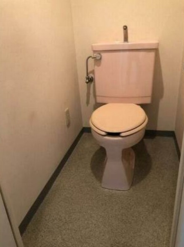 ハイリード・セイフウ6階 トイレ