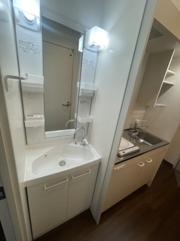 ディアコート祖師谷0202号室 洗面