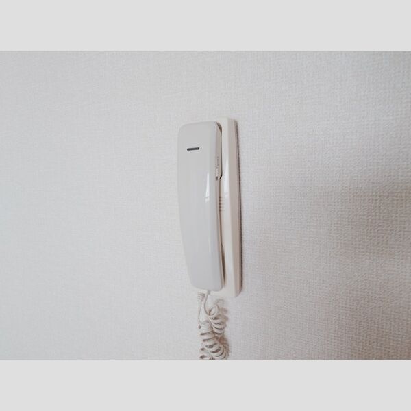 ルミエール　Ⅱ201号室 インターホン