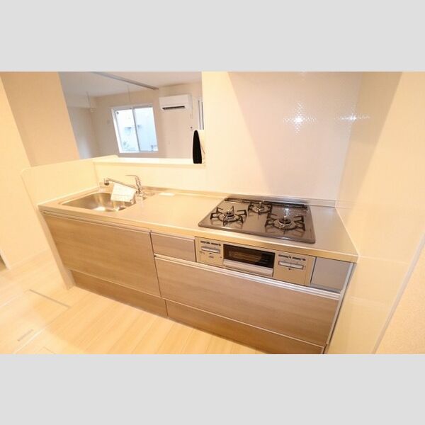 ル・グランⅢ103号室 システムキッチン