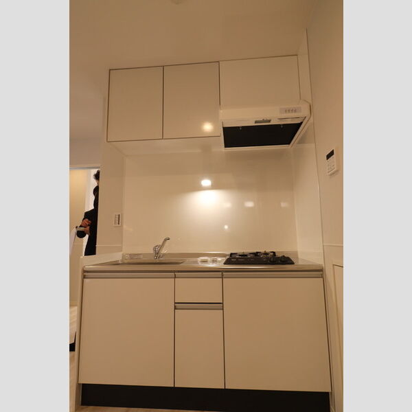 DCR大久保領家103号室 システムキッチン