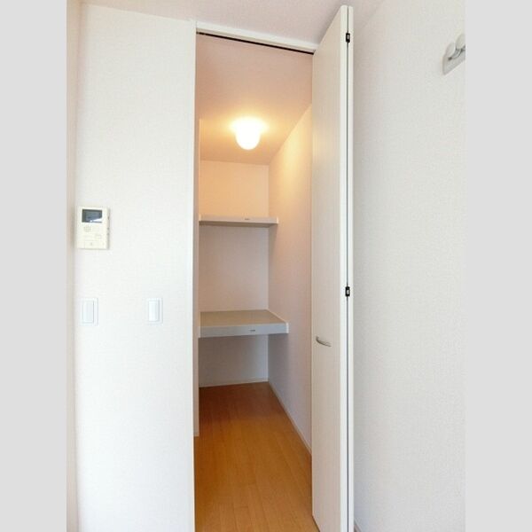 グランモア柳川AB　A 奥行のある収納です!