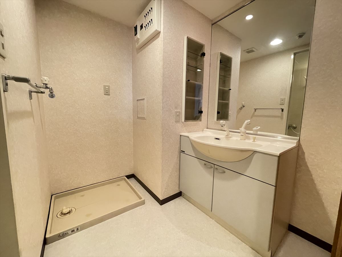 N・S FIVE東久留米201号室 洗面