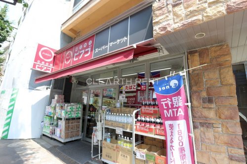 パレステュディオ目白10階 【スーパー】miniピアゴ雑司が谷２丁目店 まで677ｍ