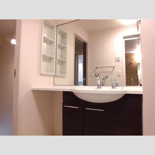 リジェール吹上203号室 洗髪洗面化粧台