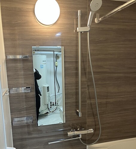 ソフトタウンニュー谷津遊園1階 浴室　内装後