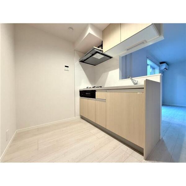 LUGEND大宮101号室 キッチン