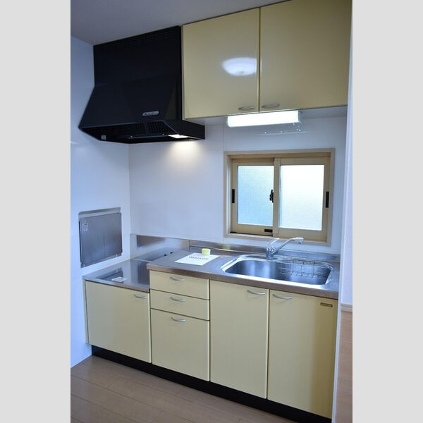 パティオ　リラ201号室 システムキッチン
