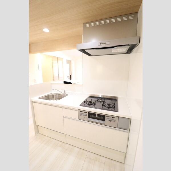 エクセリア上石原207号室 キッチン