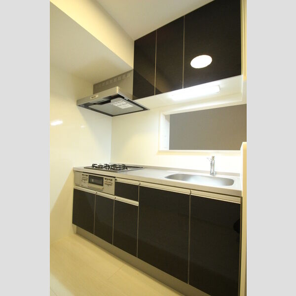 桜DKハイム202号室 202号室　キッチン