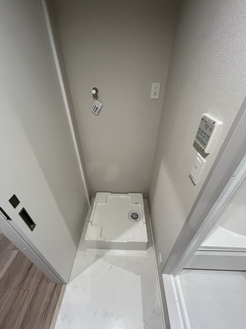 Plumeria　Y・K 別階参考写真