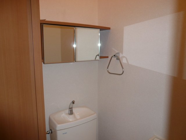 ハイツルミナス202号室 トイレ収納