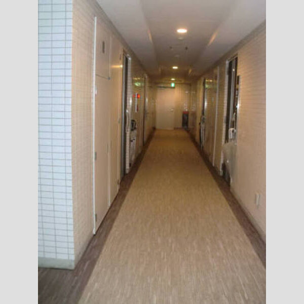 カスタリア高輪台Ⅱ0306号室 屋内共用廊下