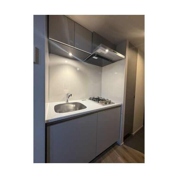 The　Residence　Ichigayadaimachi104号室 キッチン