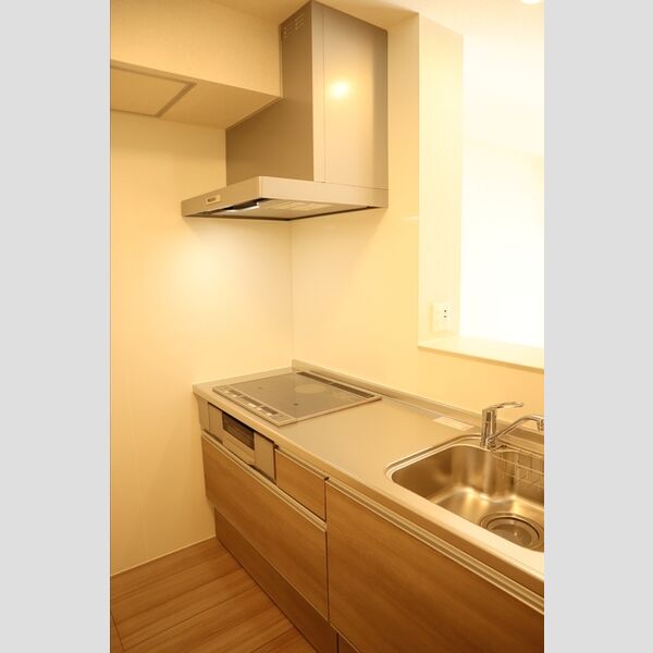 グランコート西大宮202号室 対面キッチン