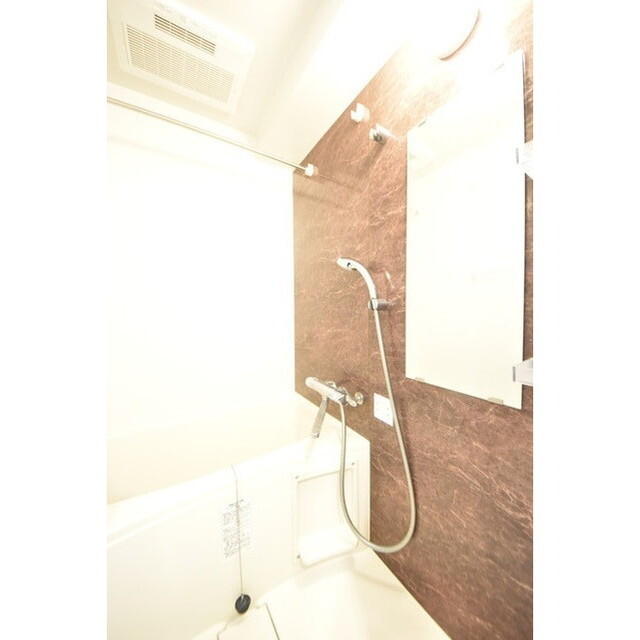 Court Blanche0511号室 内観