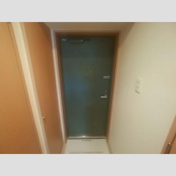 登戸N・Tステージ802号室 玄関