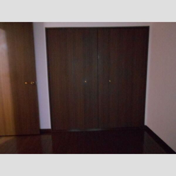 グランディス新八柱0405号室 洋室