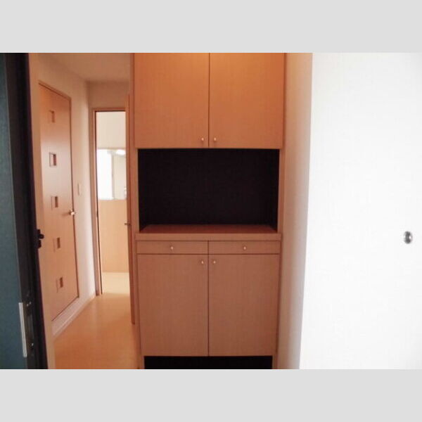 メゾンフラッシュ　Ⅱ201号室 シューズボックス