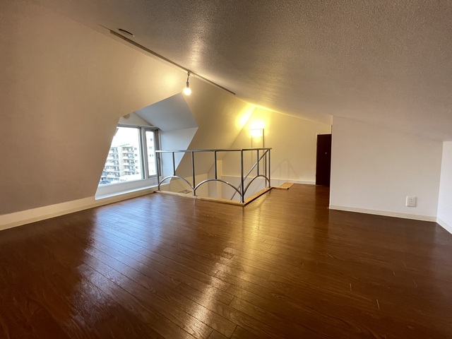 ラフィネパルク新浜0502号室 リビング